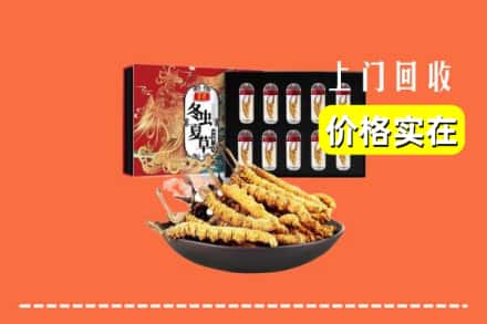 卡若区回收冬虫夏草